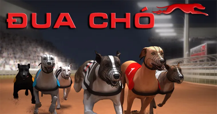 Chiến Thuật Cược Đua Chó Dubai Palace Trăm Trận Trăm Thắng Về Bờ Nhanh